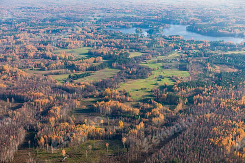 Preview: Aerial View Over The Fields And Forest In Autumn