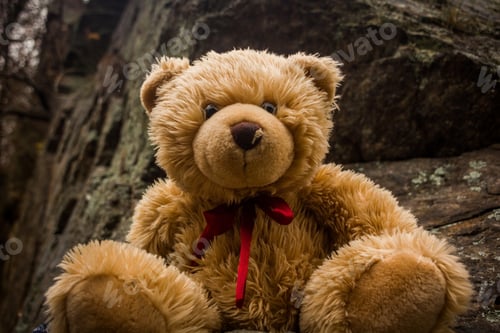Preview: Teddy Bear Dranik In Autumn Czech Republic