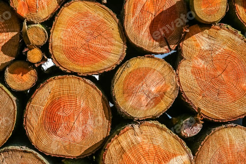 Preview: Firewood Logs Stacked In Piles Outside Cottage
