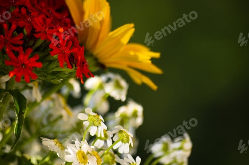 Preview: A Bouquet Of Bright Spring Flowers Of Various Types