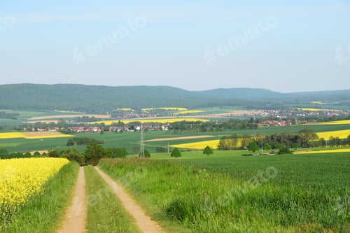 Preview: Dirt Road Through Idyllic Spring Landscape With Bright Rapeseed Fields