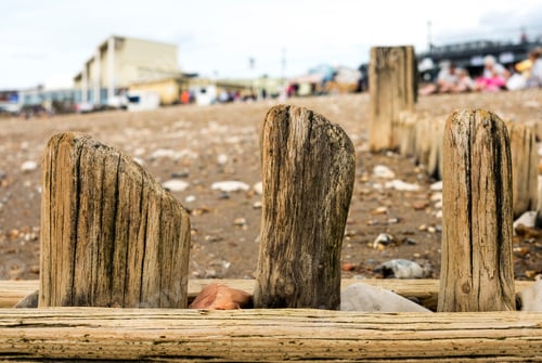 Preview: Stumps Of Wood On A Beach