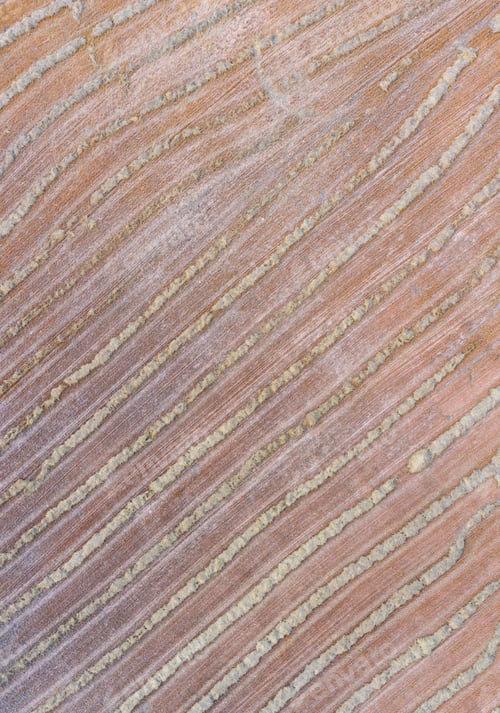 Preview: Aerial View Of The Agricultural Landscape In Villatomil Village Of Medina De Pomar Municipality In