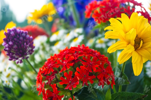 Preview: A Bouquet Of Bright Spring Flowers Of Various Types