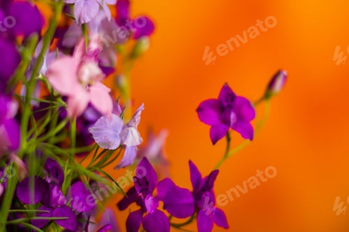 Preview: A Bouquet Of Bright Spring Flowers Of Various Types