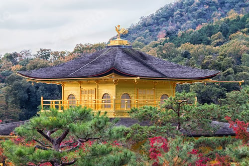 Preview: Kinkakuji Temple (The Golden Pavilion) In Kyoto, Japan