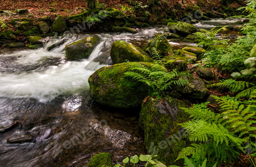 Preview: Small Cascades On The Forest River Among Huge Boulders Covered With Moss. Dreamy Carpathian
