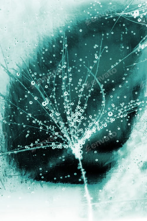 Preview: Colorful Underwater Dandelion Seeds With Bubbles