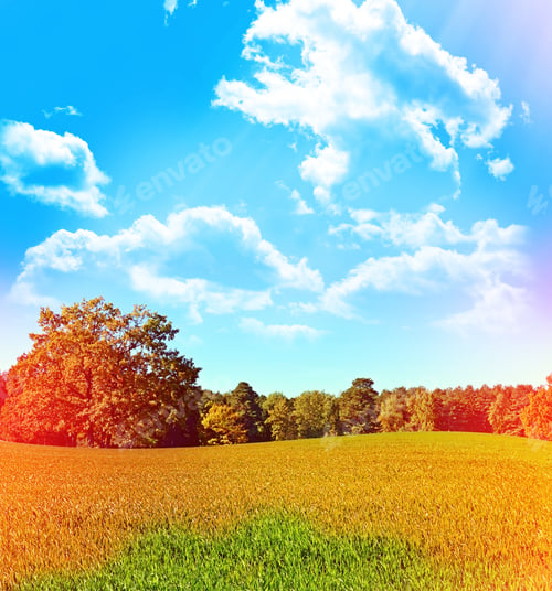 Preview: Autumn Landscape. Trees On A Background Of Blue Sky With Clouds