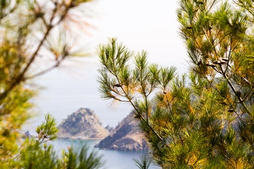 Preview: Thassos Island - Beautiful Greek Landscape