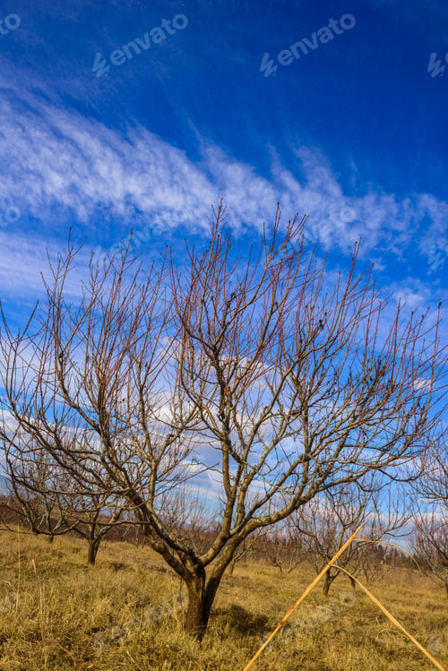 Preview: Marvelous Skyscape, Armenia