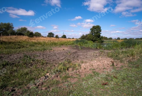 Preview: A Water Hole Drying Up During The Uk Summer Heatwave 2019