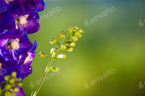 Preview: A Bouquet Of Bright Spring Flowers Of Various Types