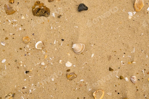 Preview: Beach Sand Background