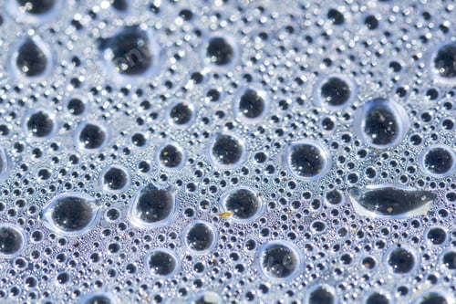 Preview: Water Drops Inside The Greenhouse - Condensation On Plastic Surface