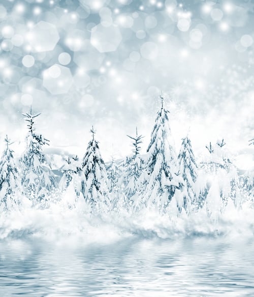 Preview: Winter. Snowfall.