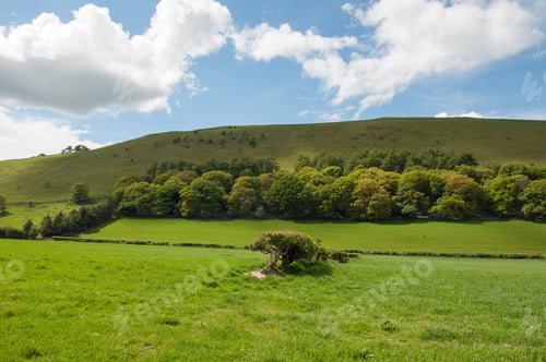 Preview: Summertime Landscape In The Welsh Countryside Of Radnorshire, United Kingdom..