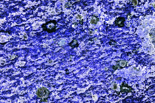 Preview: Abstract Composition With Very Old Stone Texture With Moss And Inverted Colors