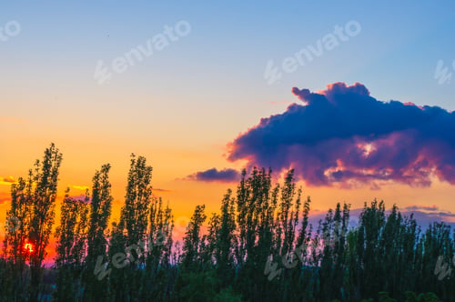 Preview: Landscape With Dramatic Light - Orange Clouds And The Outline Of Trees At Sunset
