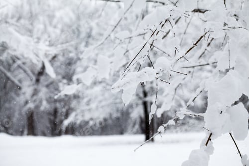 Preview: Snowing Landscape In The Park. High Resolution And Beautiful Snow Details