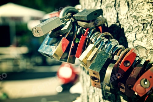 Preview: Love Padlocks On A Tree, Black Forest, Germany.