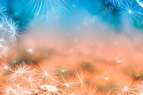 Visualização: Flor fofa de dente-de-leão no contexto da paisagem de verão.