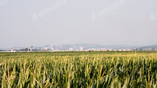 Preview: Mountain Landscape With Industrial Area And Wheat Field In Maramures, Romania