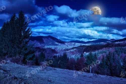 Preview: Pine Trees Near Valley In Mountains And Autumn Forest On Hillside Under Blue Sky With Clouds At