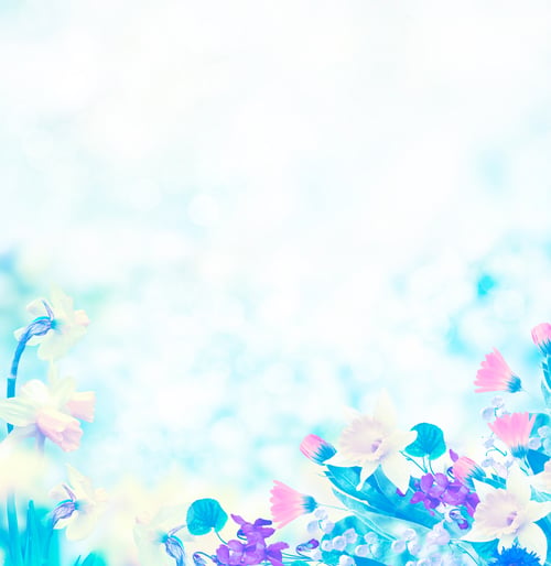 Preview: Bright And Colorful Flowers On The Background Of Spring Landscape.