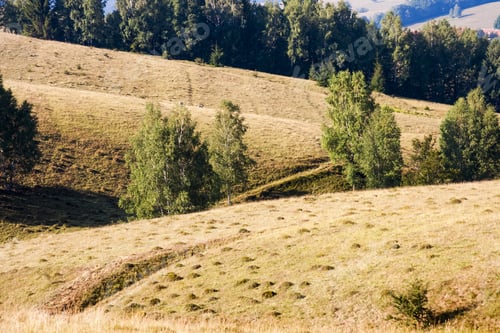Preview: Romanian Mountain Landscape With Trees