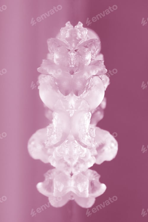 Preview: Abstract Textures And Patterns Of Broken Jelly Balls With Reflexions