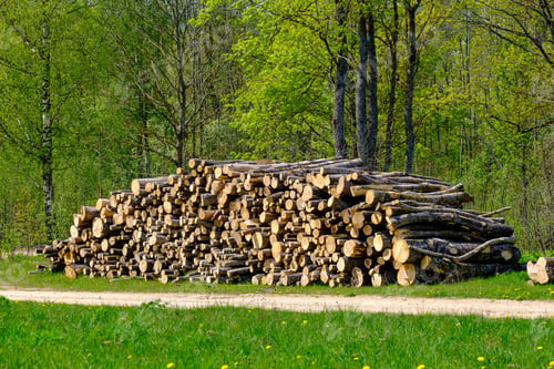 Preview: Pile Of Old Log Wood In Countryside Forest Scene With Moss And Green Background