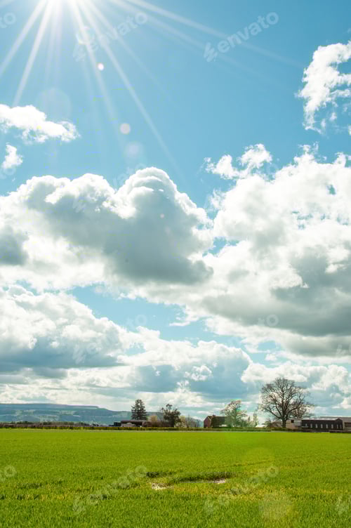 Preview: Agricultural Scenery In The United Kingdom Countryside.