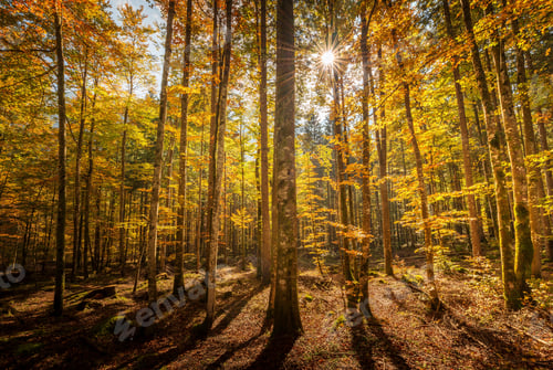 Preview: Beautiful Autumn Day In The Vrata Valley In The Julian Alps Mountains
