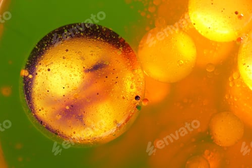 Preview: Abstract, Colorful Composition With Oil, Water And Ink