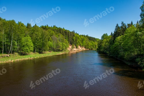 Preview: Scenic River View Landscape Of Forest Rocky Stream With Trees On The Shores. Beautiful Light