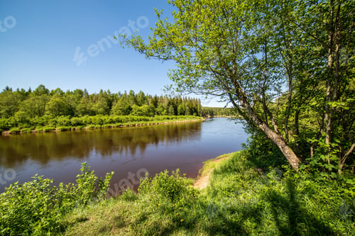 Preview: Calm River With Reflections Of Trees In Water In Bright Green Foliage In Summer In Forest Near