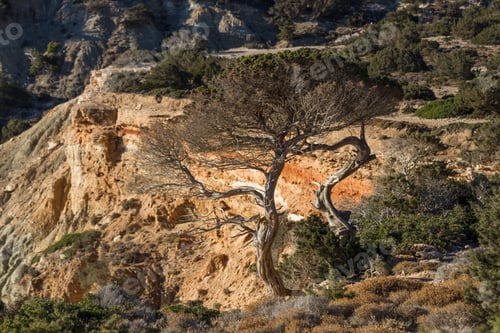 Preview: Views Of Micro Cyclades Island