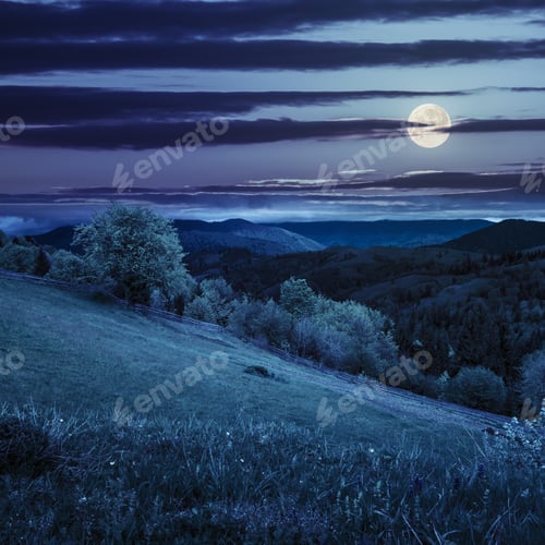 Preview: Composite Rural Landscape. Fence Near The Meadow And Trees On The Hillside. Forest In Fog On The