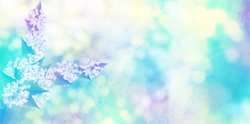 Preview: Spring Landscape. Fragrant Branch Of Beautiful Flowers Lilac.
