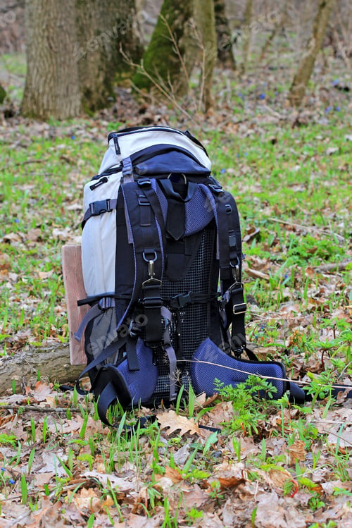 Preview: Tourist Backpack On Meadow In Forest