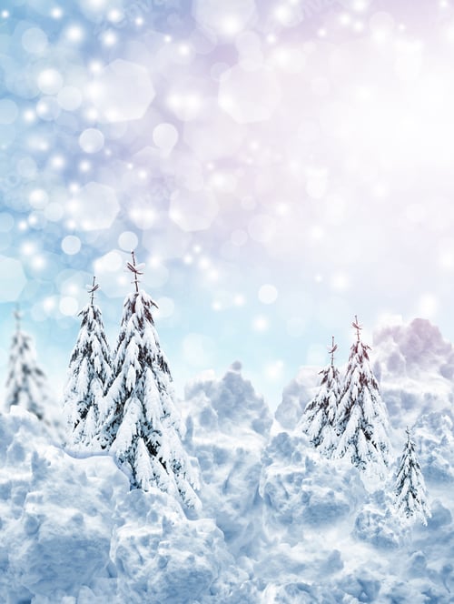 Preview: Forest In The Frost. Winter Landscape. Snow Covered Trees.