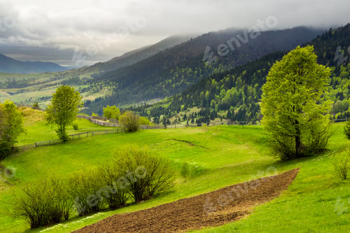 Preview: Summer Landscape. Fence Near The Meadow Path On The Hillside. Forest In Fog On The Mountain.