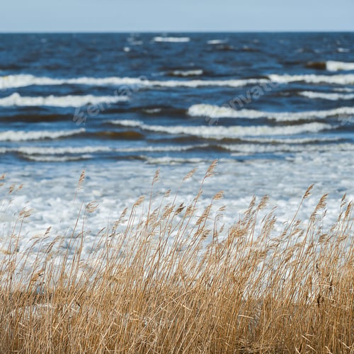 Preview: View Over The Coast Of Riga Gulf In Winter Time