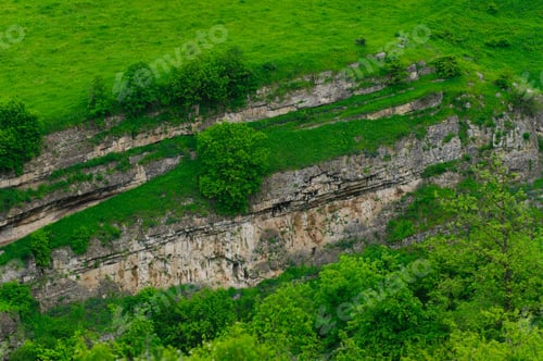 Preview: Spring Landscape