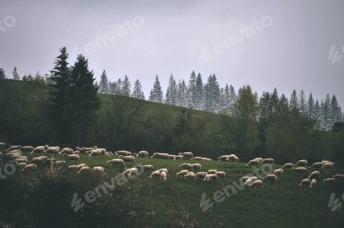 Vorschau: Felder auf dem Land im frühen Frühling mit Wolken und Ackerland — Vintage-Retro-Look