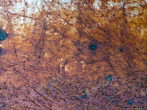 Preview: Texture Of Old Shabby Rusty Metal Surface.