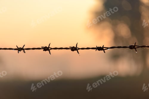 Preview: Barbed Wire