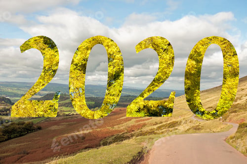 Preview: New Year, 2020 In The Countryside