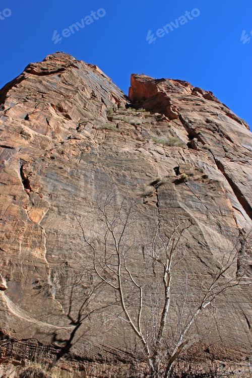 Preview: Zion National Park, Utah